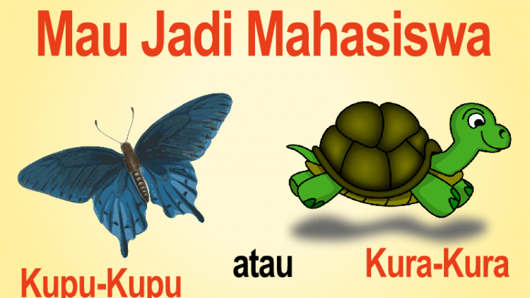Mahasiswa Kupu-Kupu atau Mahasiswa Kura-Kura?