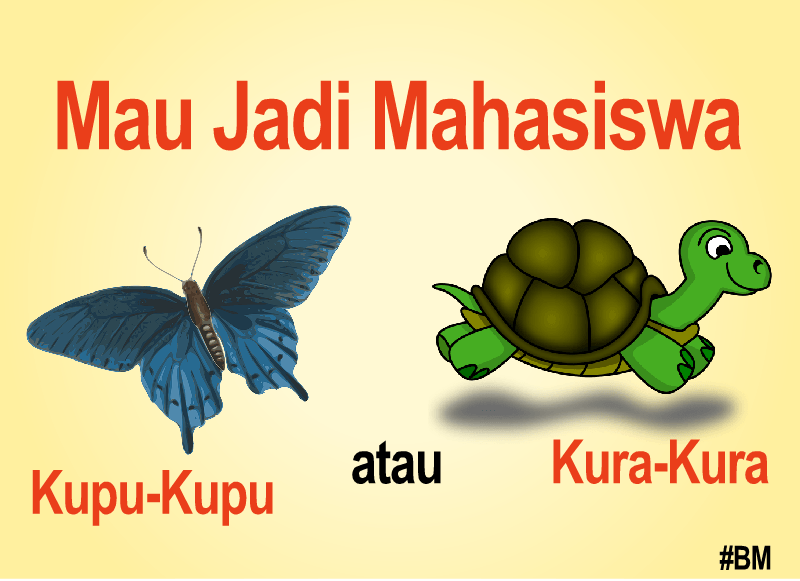 Mahasiswa Kupu-Kupu atau Mahasiswa Kura-Kura?