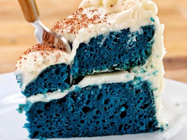 Rice cooker blue velvet