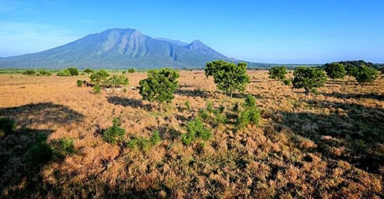 7 Spot Menarik di Taman Nasional Baluran, Afrika Kecil di Tanah Jawa