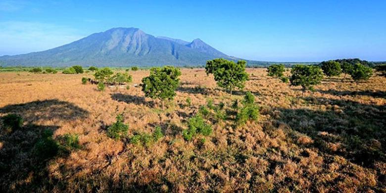 7 Spot Menarik di Taman Nasional Baluran, Afrika Kecil di Tanah Jawa