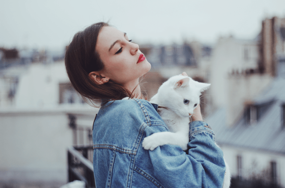 8 Derita Ini Cuma Orang yang Gak Suka Kucing Aja yang Memahami!