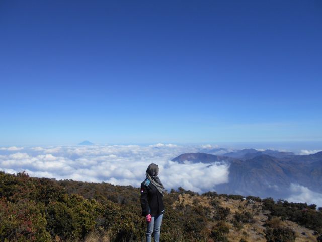 Sekarang aku sendiri, menikmati puncak-puncak tinggi tanpa kamu di sisi
