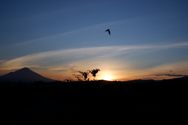 #PuisiHipwee Senja Kesumba