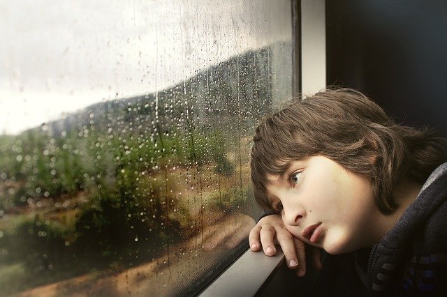Photo by Free-Photos