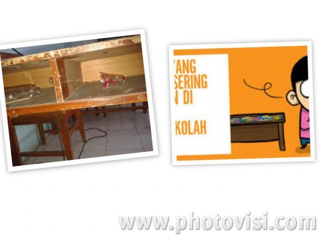 kolong meja