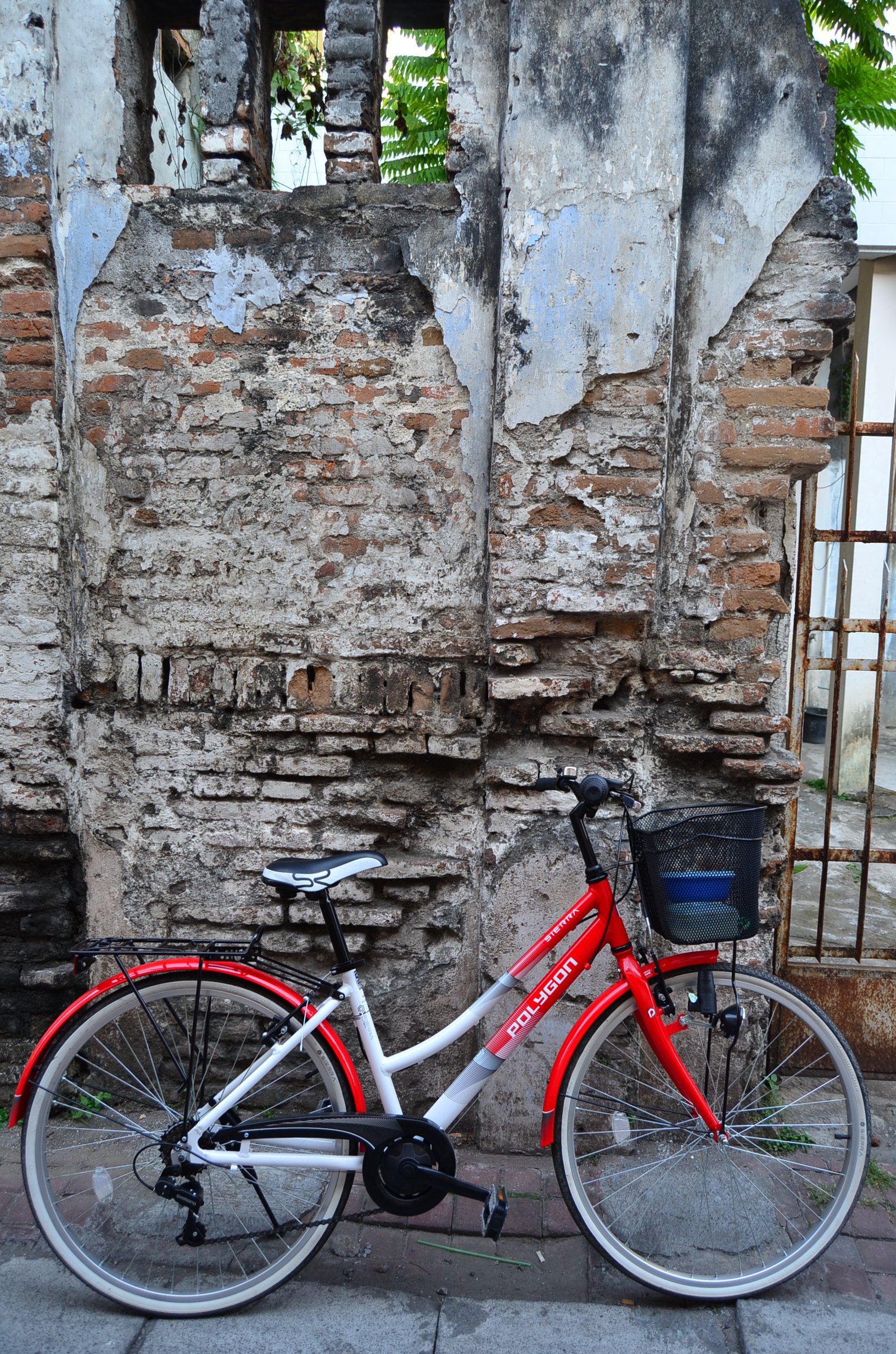 Yogya ora didol