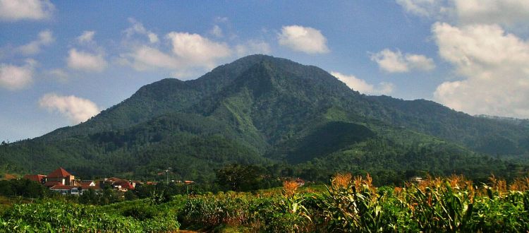 Air Terjun atau Curug di Jawa Barat