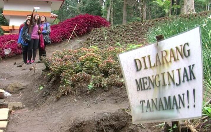 Tulisannya udah jelas tuh padahal