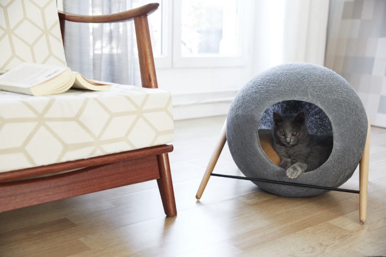 Catty in the wool ball. :3