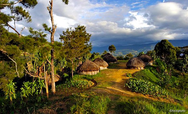 Untukmu, Lelaki yang Berada Jauh di Ketinggian 2100 MdPL Papua