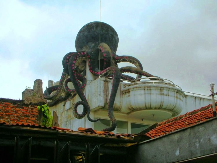 Seekor gurita raksasa merayap di atap rumah...