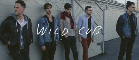 Wild Cub 