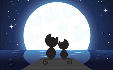 Bintang, Itu Cintaku