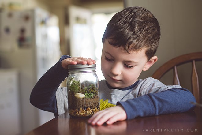 Dear Guru-guru Muda, 10 Kreasi Kerajinan Ini Bisa Kamu Bikin Bareng Murid Tercinta 30 buat terrarium