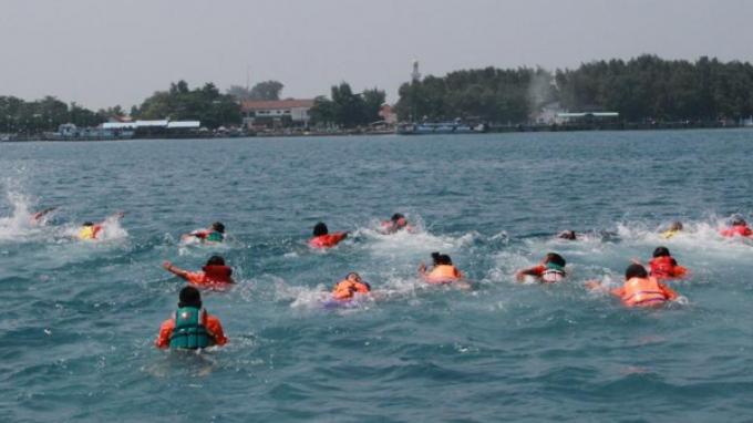 berenang di pulau