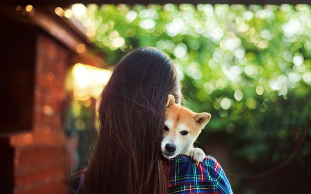 dog hug