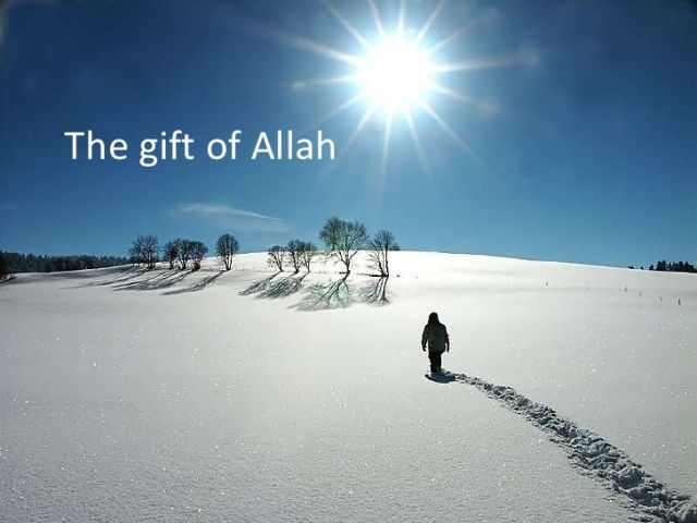 The Gift