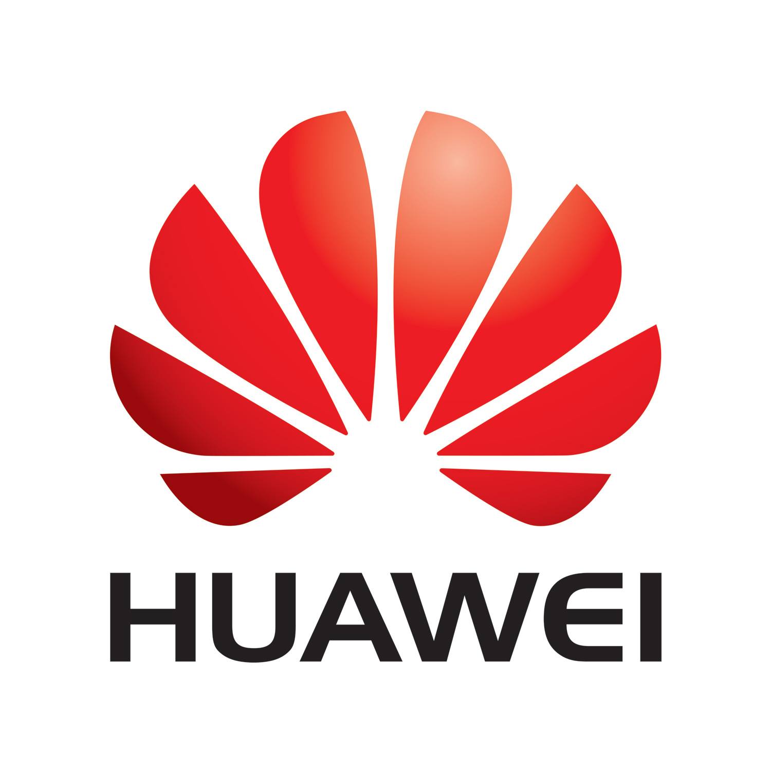Huawei Band B0