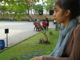 Rizki Nurcahyanti