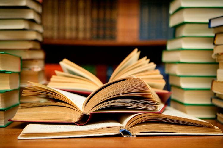 Nah loh. Buku teorinya aja segitu banyak