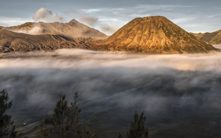 Bromo.