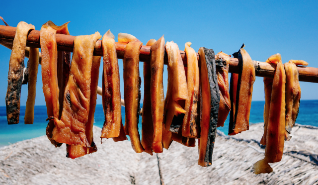 Dried Whale Meat by Ahmad Syukaery