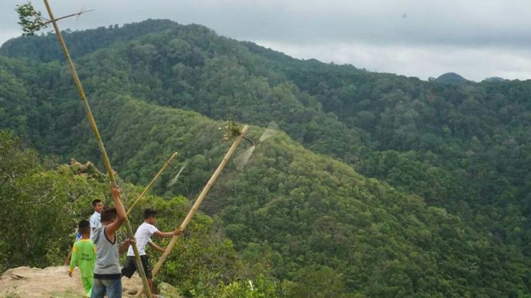 Pulau Bawean, Begitu Dekat Namun Jauh Tersekat
