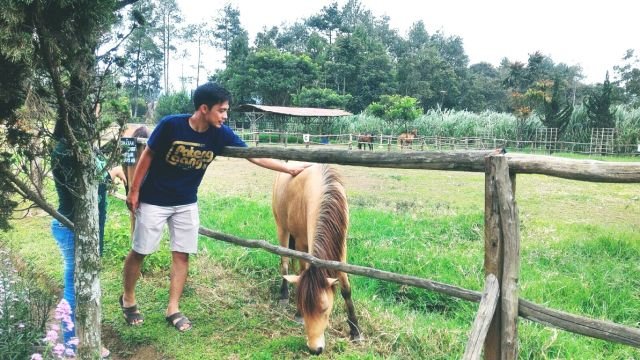 Berjalanlah dibelakangku agar aku bisa menuntunmu dari depan