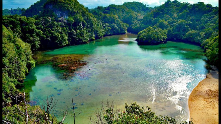 Surga yang Tersembunyi Itu Bernama  Pulau Sempu
