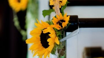 Nggak Cuma Hamtaro yang Suka Biji Bunga Matahari. Konsep Pernikahan Dengan Bunga Matahari Bisa Buat Momenmu Lebih Berkesan. Ini 12 Inspirasinya!