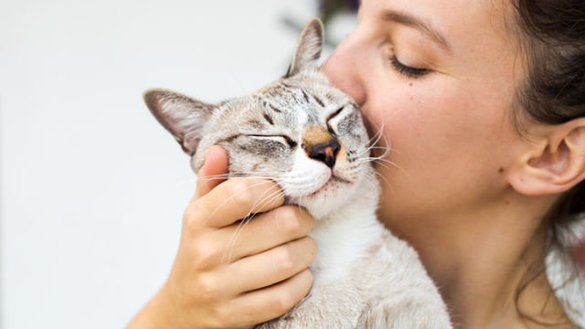 Human-Medical-Creams-Cause-Illness-and-Pet-Death-
