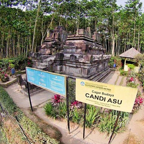 Candi Asu~