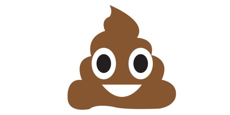 What-Your-Poop-Tells-You-About-Your-Diet-and-Health-in-General