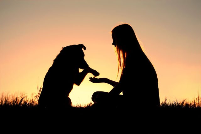 bigstock-Woman-And-Her-Dog-Shaking-Hand