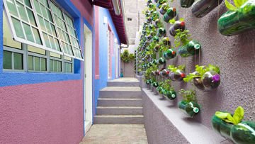 13 Inspirasi Vertikal Garden Indoor & Outdoor Minimalis