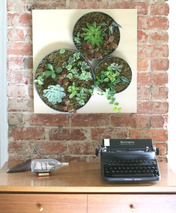 Vertical Garden Indoor & Outdoor Minimalis