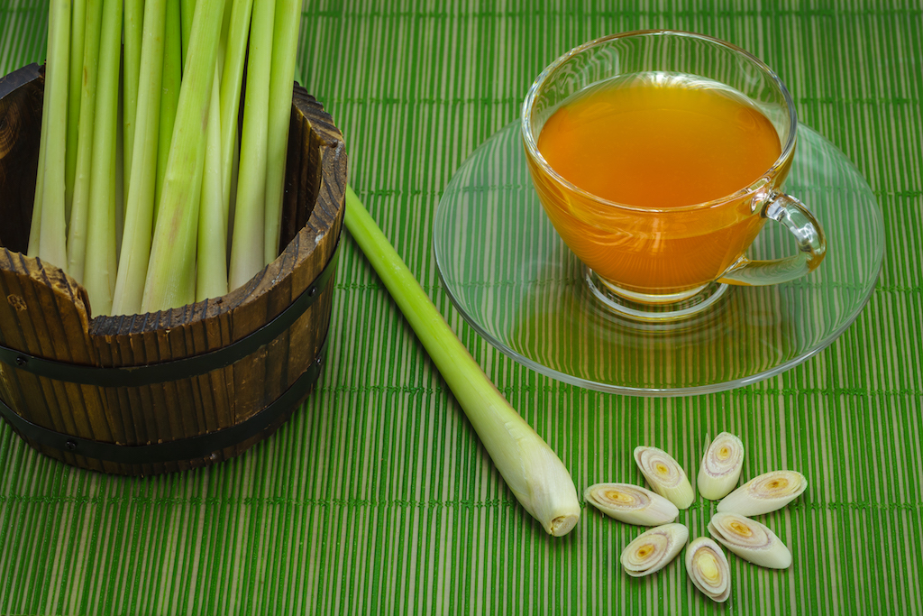 7 Resep Minuman Hangat yang Nikmatnya Selevel Sama Pelukan. Bye Kesepian!