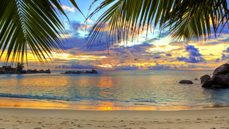 Alasan Mengapa Pantai Adalah Tempat yang Menyenangkan