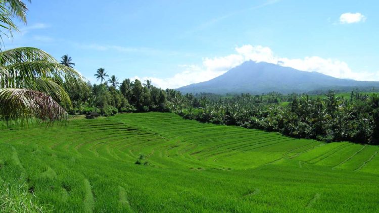 Kamu Harus Tahu Taman Nasional Indonesia yang Termasuk Dalam Situs Warisan Dunia