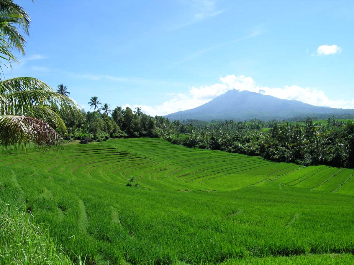 Kamu Harus Tahu Taman Nasional Indonesia yang Termasuk Dalam Situs Warisan Dunia