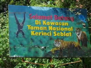 Kamu Harus Tahu Taman Nasional Indonesia yang Termasuk Dalam Situs Warisan Dunia