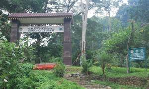 Kamu Harus Tahu Taman Nasional Indonesia yang Termasuk Dalam Situs Warisan Dunia