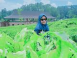 Tia Lestari
