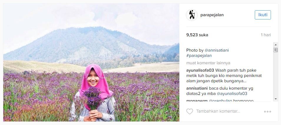 Dikira Lavender, Eh Ternyata Verbena. Tanaman Indah di 