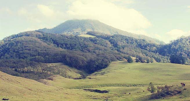 Datang dan Singgahilah Tempat-tempat Menawan di Kabupaten Timor Tengah Selatan
