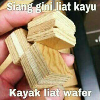 Wafer!