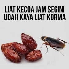 Eh korma