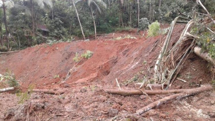 Longsor di Banjarnegara memakan banyak korban jiwa