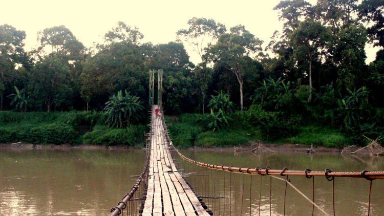 Pohon Balam, Hantarkan Aku Pulang